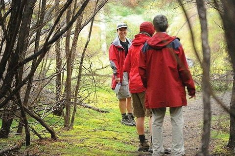 Great Walks Of Australia: 4-Day Freycinet Experience Walk - Surfers Gold Coast 7