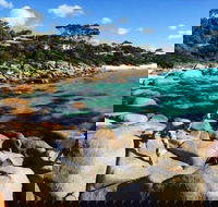 4-Day Tasmania East Coast Adventure from Launceston to Hobart Including Bay of Fires Wineglass Bay Bruny Island and Port Arthu - Surfers Gold Coast