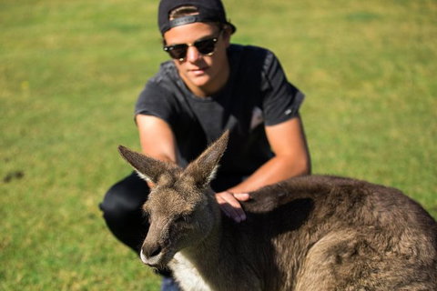 4-Day Tasmania East Coast Adventure From Launceston To Hobart Including Bay Of Fires, Wineglass Bay, Bruny Island And Port Arthu - Surfers Gold Coast 6