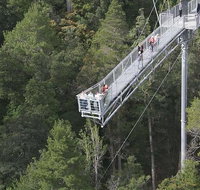 Cruise Ship Special from Hobart Mt Wellington and Tahune AirWalk - Surfers Gold Coast
