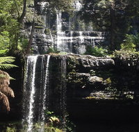 Private Mt Field National Park Day Trip from Hobart Including Salmon Ponds and Bonorong Wildlife Sanctuary - Surfers Gold Coast