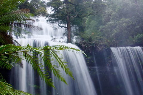 Mt. Field National Park And Bonorong Wildlife Park - Surfers Gold Coast 1