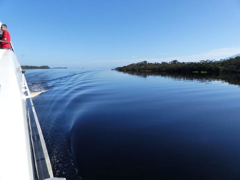 Gordon River Cruise Departing From Strahan - Surfers Gold Coast 3