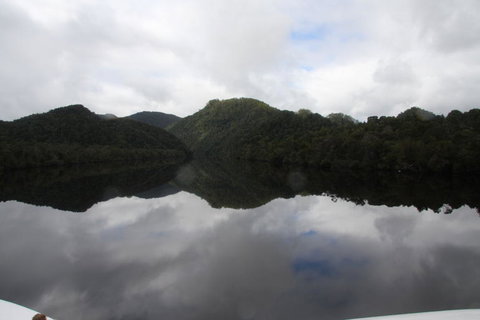 Gordon River Cruise Departing From Strahan - Surfers Gold Coast 18