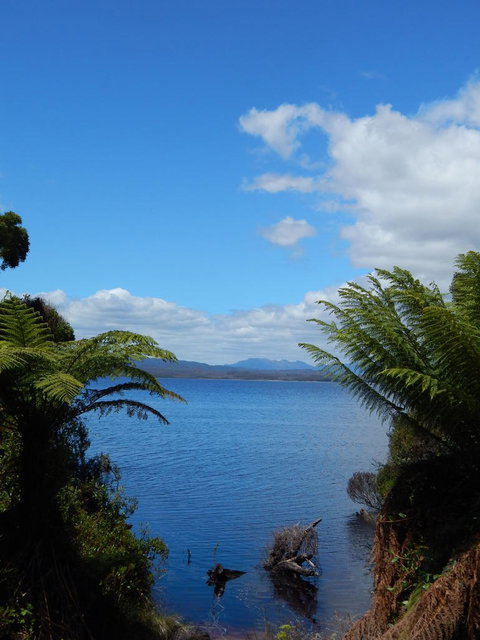 Gordon River Cruise Departing From Strahan - Surfers Gold Coast 20