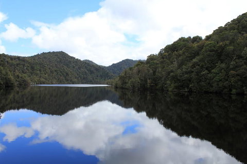 Gordon River Cruise Departing From Strahan - Surfers Gold Coast 21