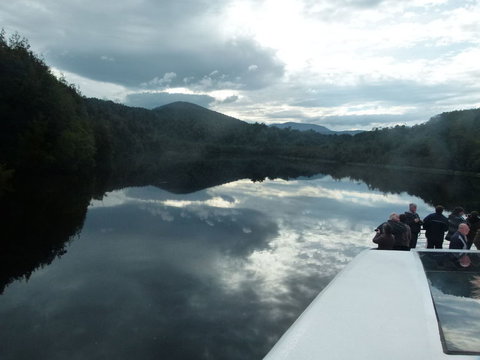 Gordon River Cruise Departing From Strahan - Surfers Gold Coast 15