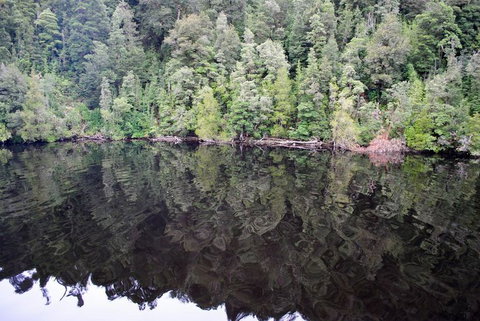 Gordon River Cruise Departing From Strahan - Surfers Gold Coast 24