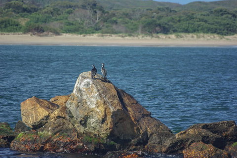 Gordon River Cruise Departing From Strahan - Surfers Gold Coast 11