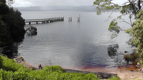 Gordon River Cruise Departing From Strahan - Surfers Gold Coast 22