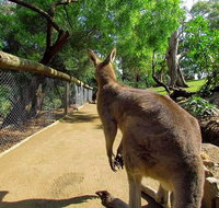 Wilderness and Wildlife - Surfers Gold Coast