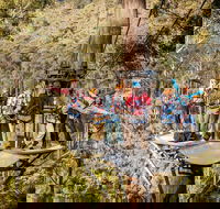 Hollybank Wilderness Adventure - Zipline Tours - Surfers Gold Coast