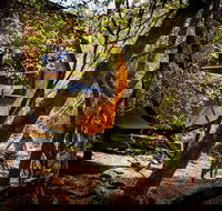 Blue Derby Pods Ride Experience 3-Day Mountain Bike Adventure in Exclusive Pods - Surfers Gold Coast