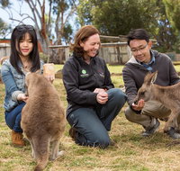 Bonorong Wildlife Park and Richmond Afternoon Tour from Hobart - Surfers Gold Coast