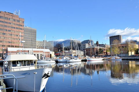 Hobart Shore Excursion: Scenic Highlights Tour - Surfers Gold Coast 6