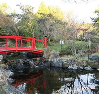 Small-group tour from Hobart Native Flora and Fauna incl. Royal Bot. Gardens - Surfers Gold Coast