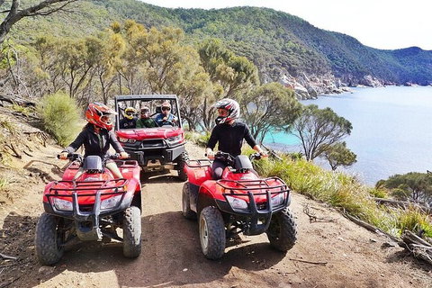 Quad Bike 2-Hour Adventure: Freycinet National Park - Surfers Gold Coast 2