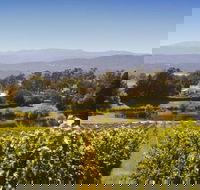 Josef Chromy Wines Winery Tour Including Tasting and Lunch - Surfers Gold Coast