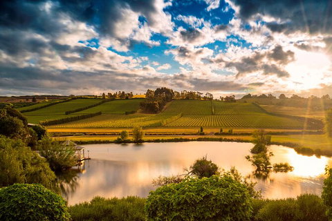 Josef Chromy Wines Winery Tour Including Tasting And Lunch - Surfers Gold Coast 2