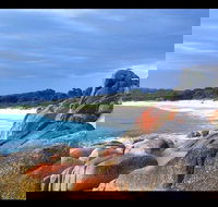 Bay of Fires Day Trip from Launceston - Surfers Gold Coast