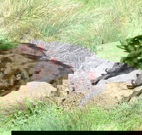 Day Keeper Tour - Surfers Gold Coast