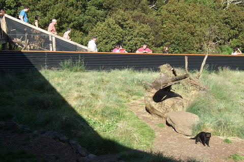 Day Keeper Tour - Surfers Gold Coast 7