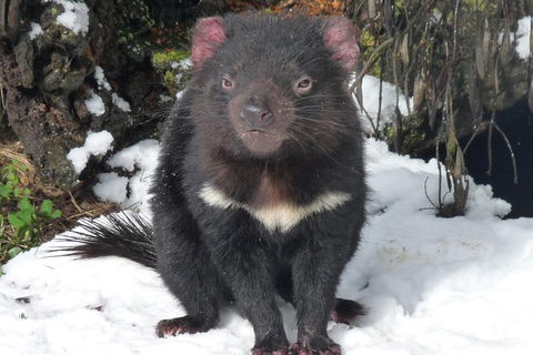 Day Keeper Tour - Surfers Gold Coast 3