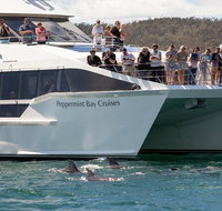 The Peppermint Bay Lunch Cruise from Hobart - Surfers Gold Coast
