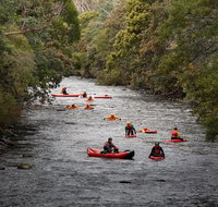 Meander Wilderness Experiences - Surfers Gold Coast