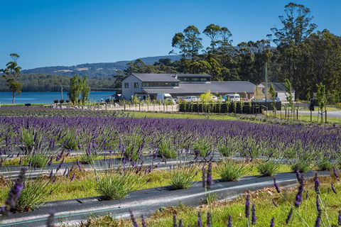 Private Tasman Peninsula Cruise Ship Tour From Port Arthur - Surfers Gold Coast 0