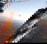 Balloon Flights in Northern Tasmania - Surfers Gold Coast