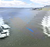 2.5 Hour Morning Discovery Cruise including sailing into the Cataract Gorge - Surfers Gold Coast