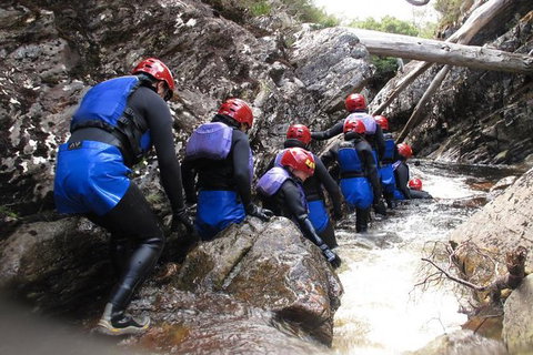 Half Day Cradle Mountain Canyoning: Lost World Canyon - Surfers Gold Coast 1