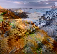 4-Day Tarkine Wilderness Photography Workshop - Surfers Gold Coast