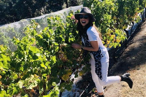 Valleys Of Vino Tour - Surfers Gold Coast 1