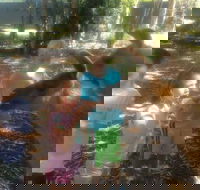 Unguided Family Llama Walk - Surfers Gold Coast