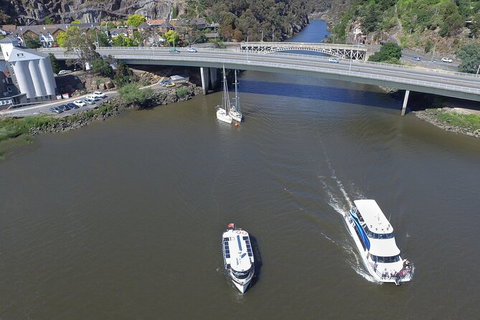 2.50 Hour Afternoon Discovery Cruise Including Cataract Gorge Departing At 3 Pm - Surfers Gold Coast 4