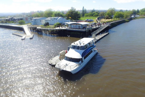 2.50 Hour Afternoon Discovery Cruise Including Cataract Gorge Departing At 3 Pm - Surfers Gold Coast 3