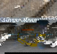 Launceston Cataract Gorge - Twilight wildlife local history walking tour. - Surfers Gold Coast