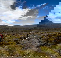 6-Day Overland Track PhotoTour - Surfers Gold Coast