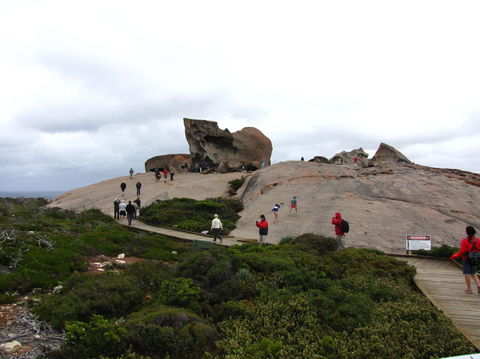 Kangaroo Island In A Day Tour From Adelaide - Surfers Gold Coast 21