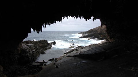 Kangaroo Island In A Day Tour From Adelaide - Surfers Gold Coast 20