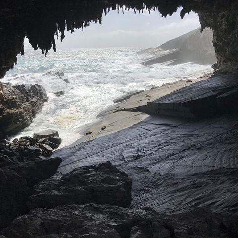 Kangaroo Island In A Day Tour From Adelaide - Surfers Gold Coast 5