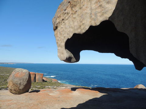 Kangaroo Island In A Day Tour From Adelaide - Surfers Gold Coast 13