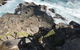 Kangaroo Island In A Day Tour From Adelaide - thumb 3
