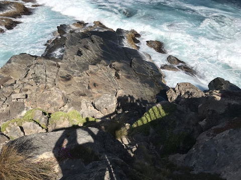 Kangaroo Island In A Day Tour From Adelaide - Surfers Gold Coast 3