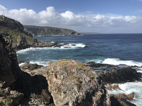 Kangaroo Island In A Day Tour From Adelaide - Surfers Gold Coast 4