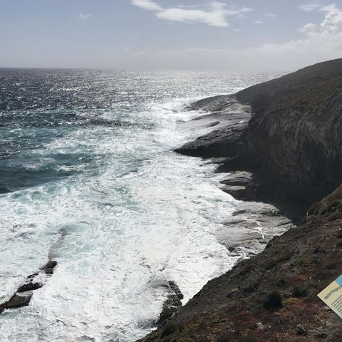 Kangaroo Island In A Day Tour From Adelaide - Surfers Gold Coast 6
