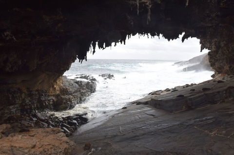 Kangaroo Island In A Day Tour From Adelaide - Surfers Gold Coast 18