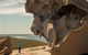 Kangaroo Island In A Day Tour From Adelaide - thumb 30